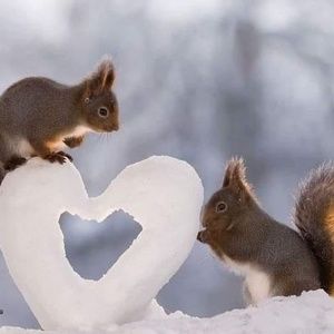 Meet your Posher, Judy